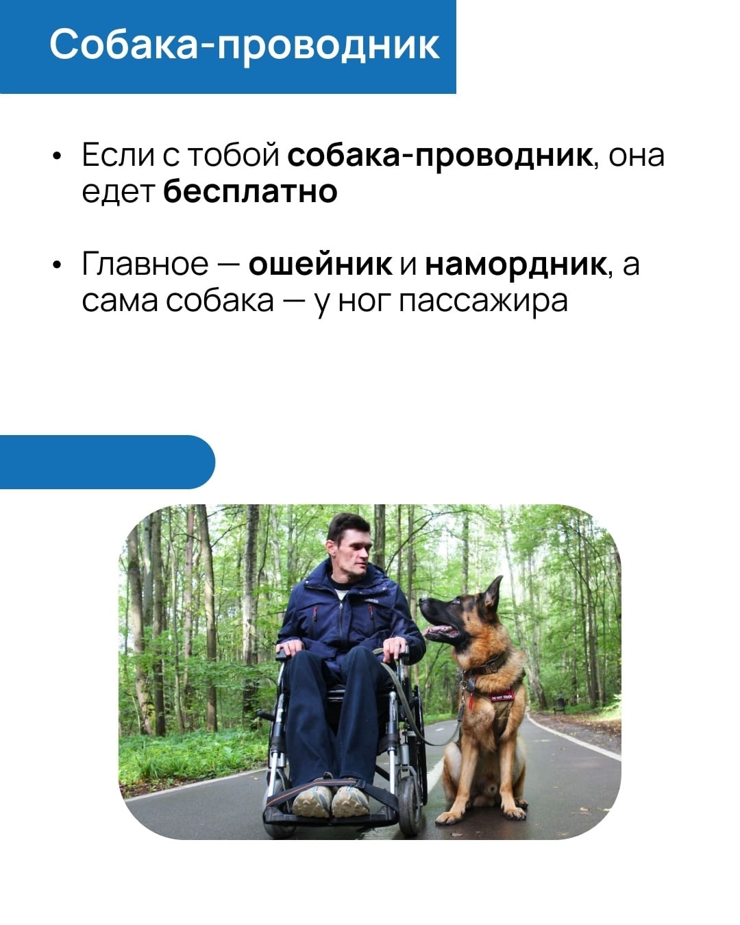 Фотография к материалу «Электричка без стресса: инструкция для колясочников Поездка на электричке для человека на коляске — это всегда квест»