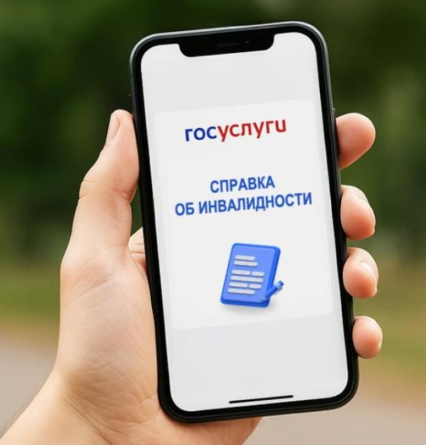 Прошло почти полгода с момента вступления в силу новых правил выдачи документов-решений по медико-социальной экспертизе